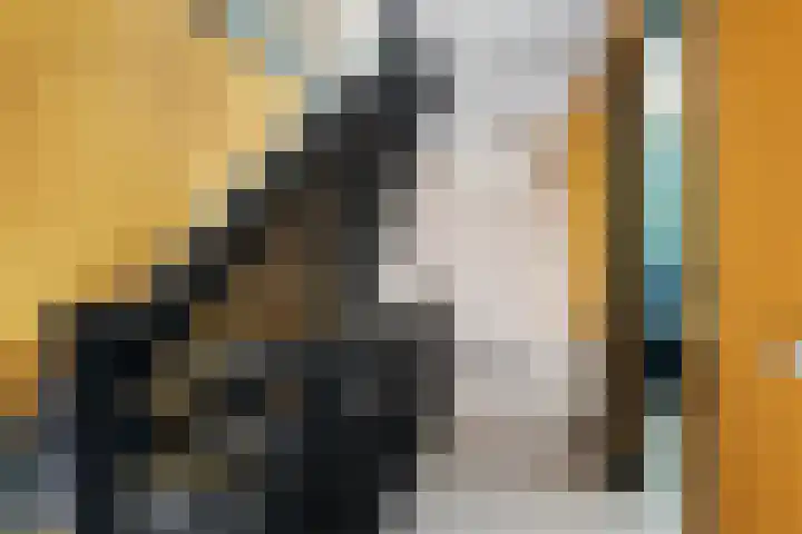 Oostmeerlaan 84 Berkel en Rodenrijs thumbnail 19