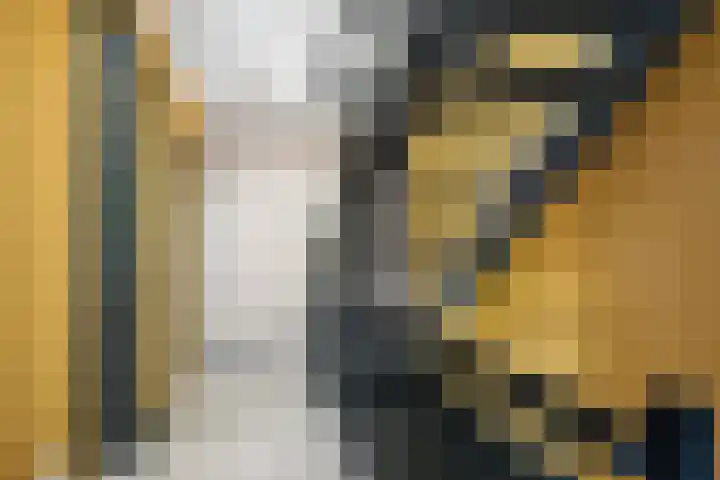 Oostmeerlaan 84 Berkel en Rodenrijs thumbnail 20
