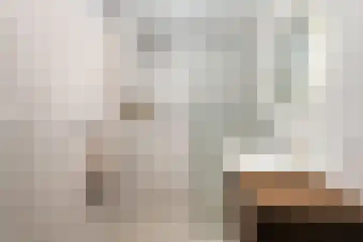 Oostmeerlaan 84 Berkel en Rodenrijs thumbnail 23