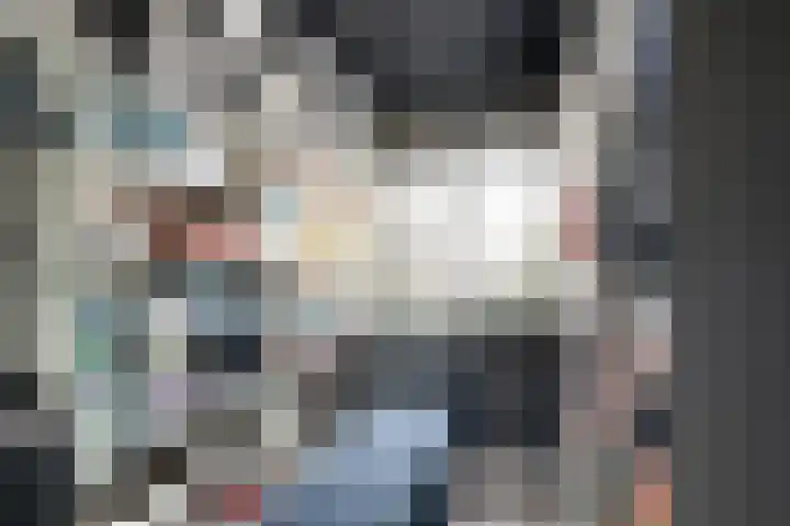 Oostmeerlaan 84 Berkel en Rodenrijs thumbnail 26