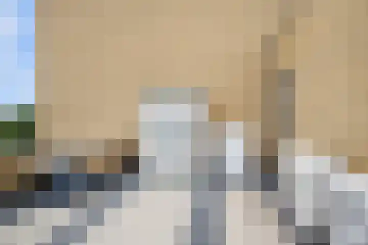 Oostmeerlaan 84 Berkel en Rodenrijs thumbnail 31