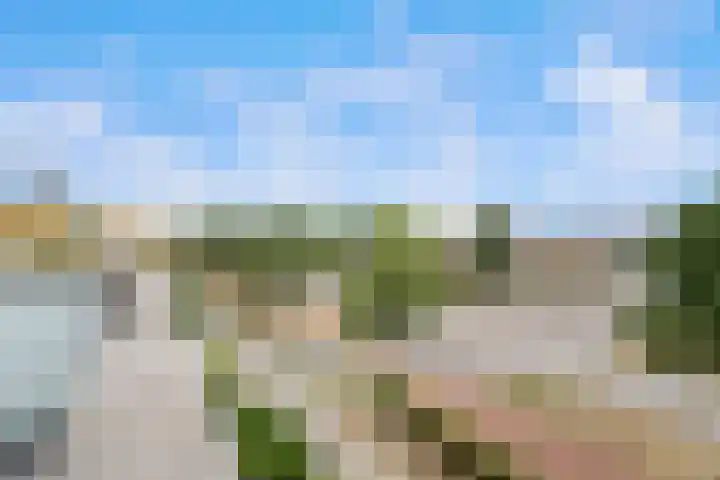 Oostmeerlaan 84 Berkel en Rodenrijs thumbnail 32