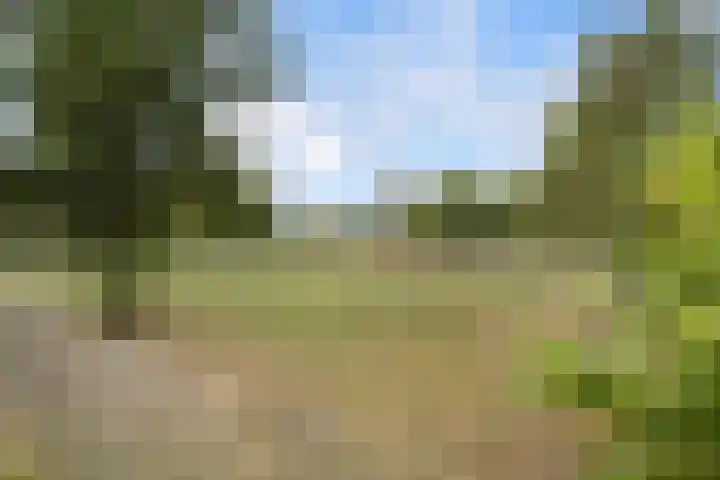 Oostmeerlaan 84 Berkel en Rodenrijs thumbnail 34