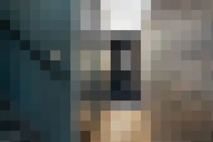 Oostmeerlaan 84 Berkel en Rodenrijs thumbnail 5