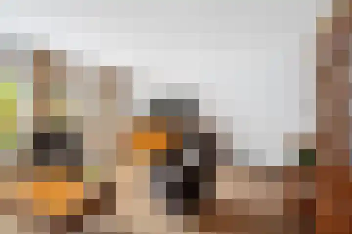Oostmeerlaan 84 Berkel en Rodenrijs thumbnail 9