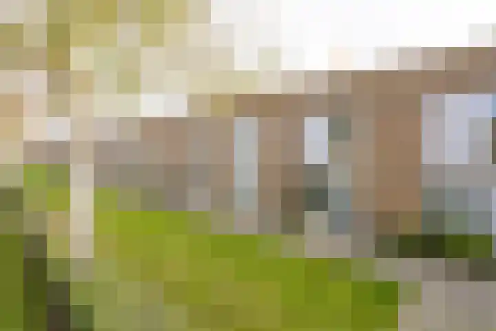 Oostmeerlaan 91 Berkel en Rodenrijs