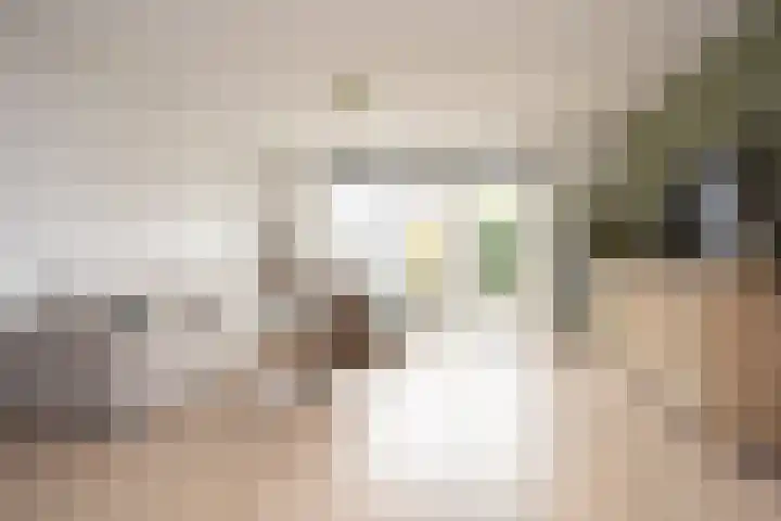 Oostmeerlaan 91 Berkel en Rodenrijs thumbnail 11