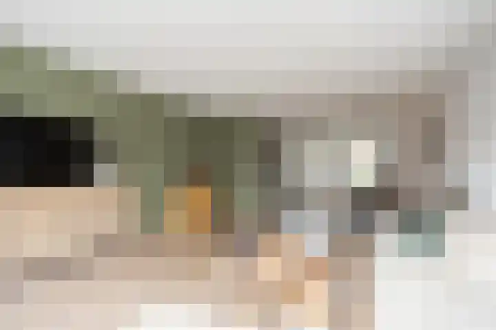 Oostmeerlaan 91 Berkel en Rodenrijs thumbnail 12
