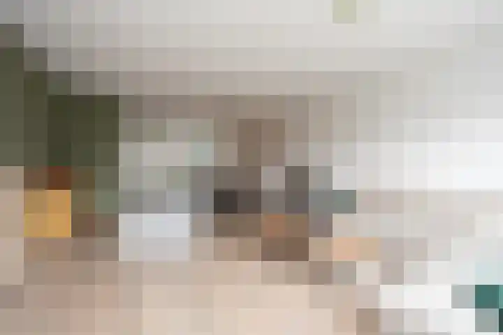 Oostmeerlaan 91 Berkel en Rodenrijs thumbnail 13