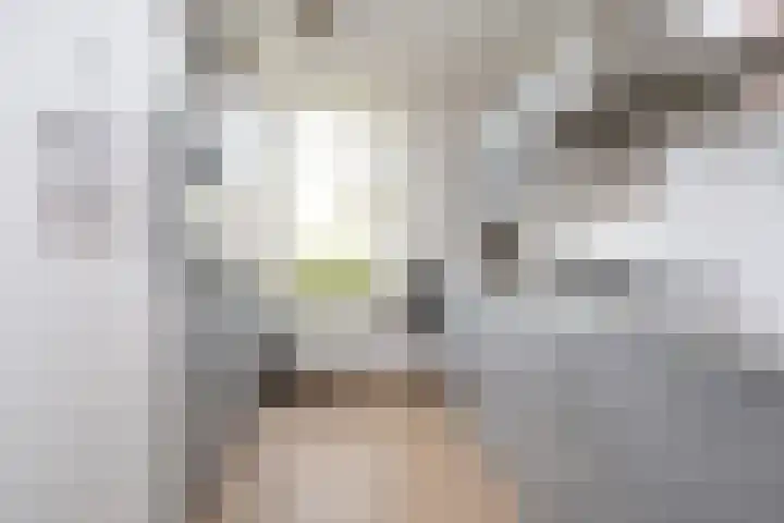 Oostmeerlaan 91 Berkel en Rodenrijs thumbnail 18
