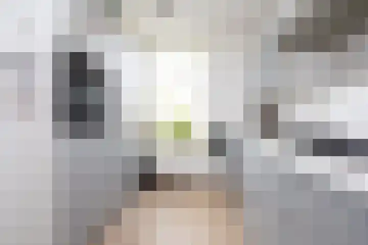Oostmeerlaan 91 Berkel en Rodenrijs thumbnail 19