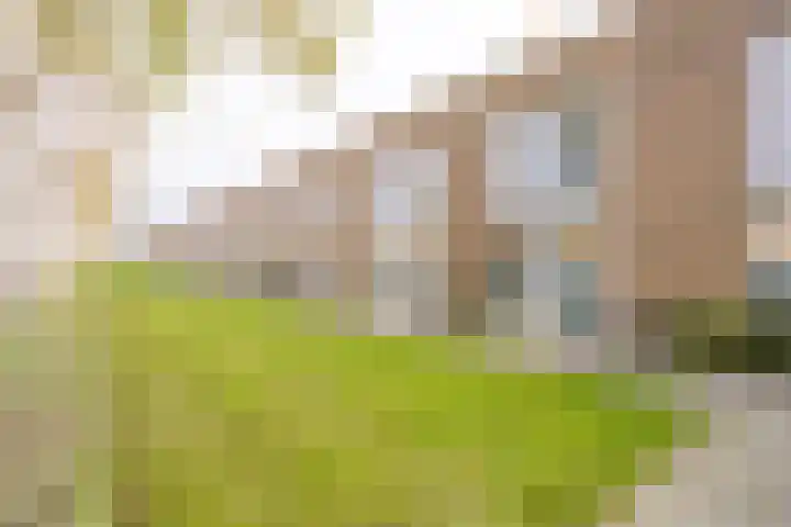 Oostmeerlaan 91 Berkel en Rodenrijs foto 2