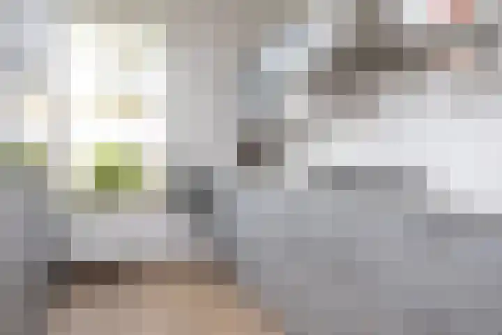 Oostmeerlaan 91 Berkel en Rodenrijs thumbnail 20