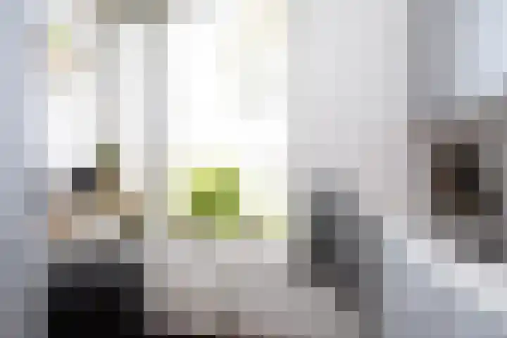 Oostmeerlaan 91 Berkel en Rodenrijs thumbnail 21