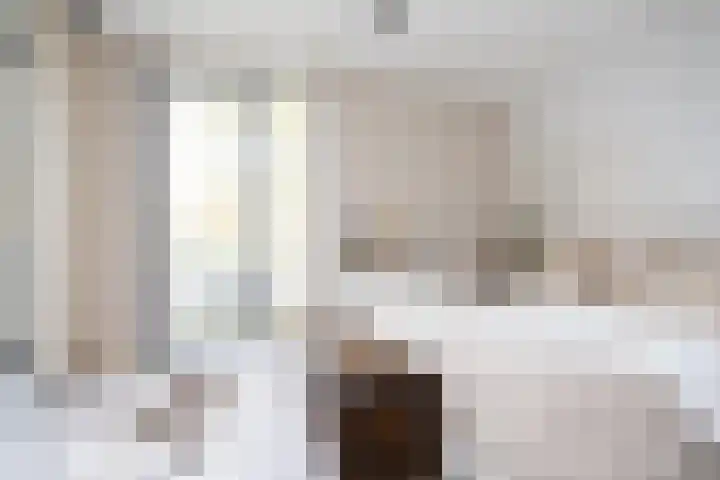Oostmeerlaan 91 Berkel en Rodenrijs thumbnail 24