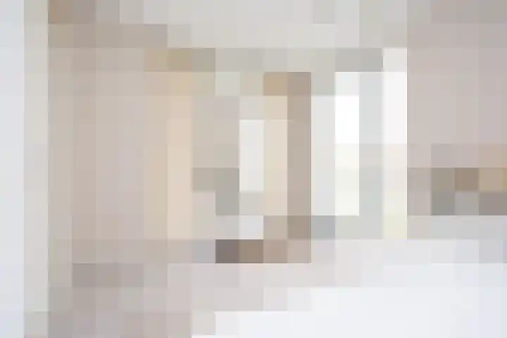 Oostmeerlaan 91 Berkel en Rodenrijs thumbnail 26
