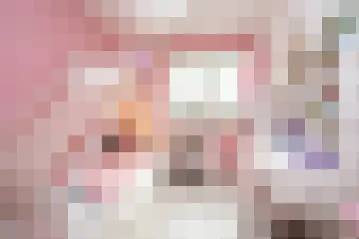Oostmeerlaan 91 Berkel en Rodenrijs thumbnail 28