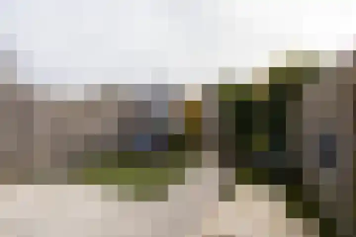 Oostmeerlaan 91 Berkel en Rodenrijs thumbnail 34