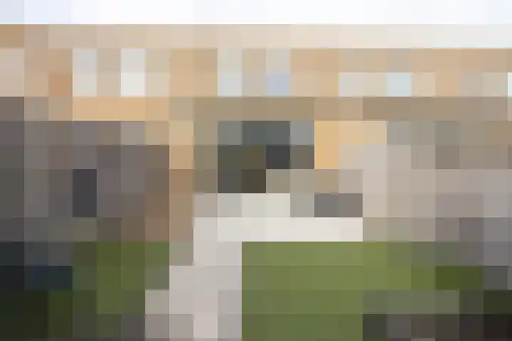 Oostmeerlaan 91 Berkel en Rodenrijs thumbnail 36