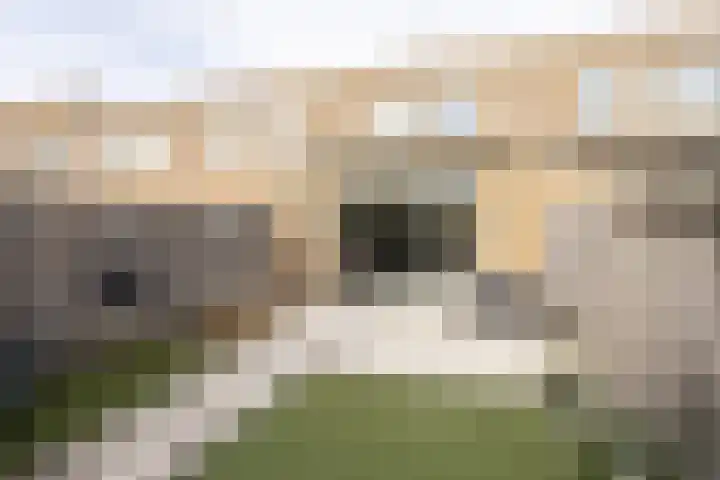 Oostmeerlaan 91 Berkel en Rodenrijs thumbnail 37