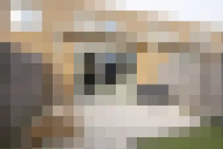 Oostmeerlaan 91 Berkel en Rodenrijs thumbnail 38