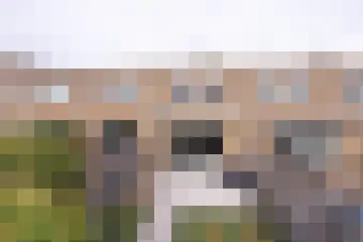 Oostmeerlaan 91 Berkel en Rodenrijs thumbnail 39
