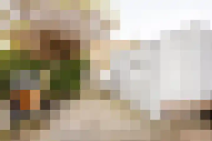 Oostmeerlaan 91 Berkel en Rodenrijs thumbnail 40