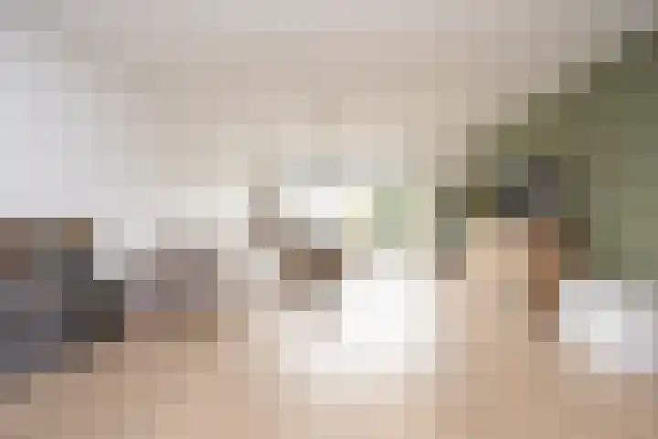 Oostmeerlaan 91 Berkel en Rodenrijs thumbnail 8
