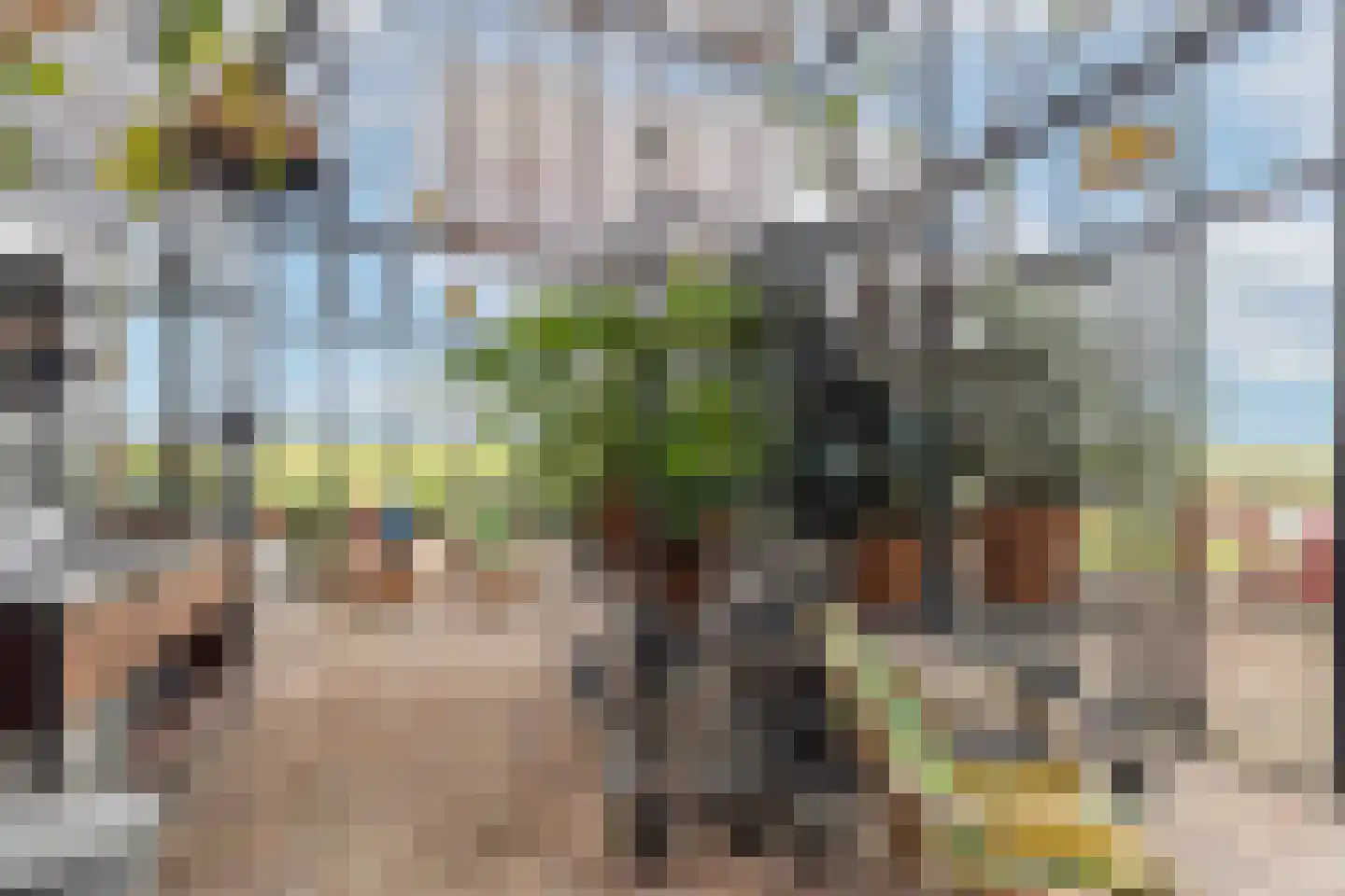 Oostmijzerdijk 13 A Schermerhorn thumbnail 24