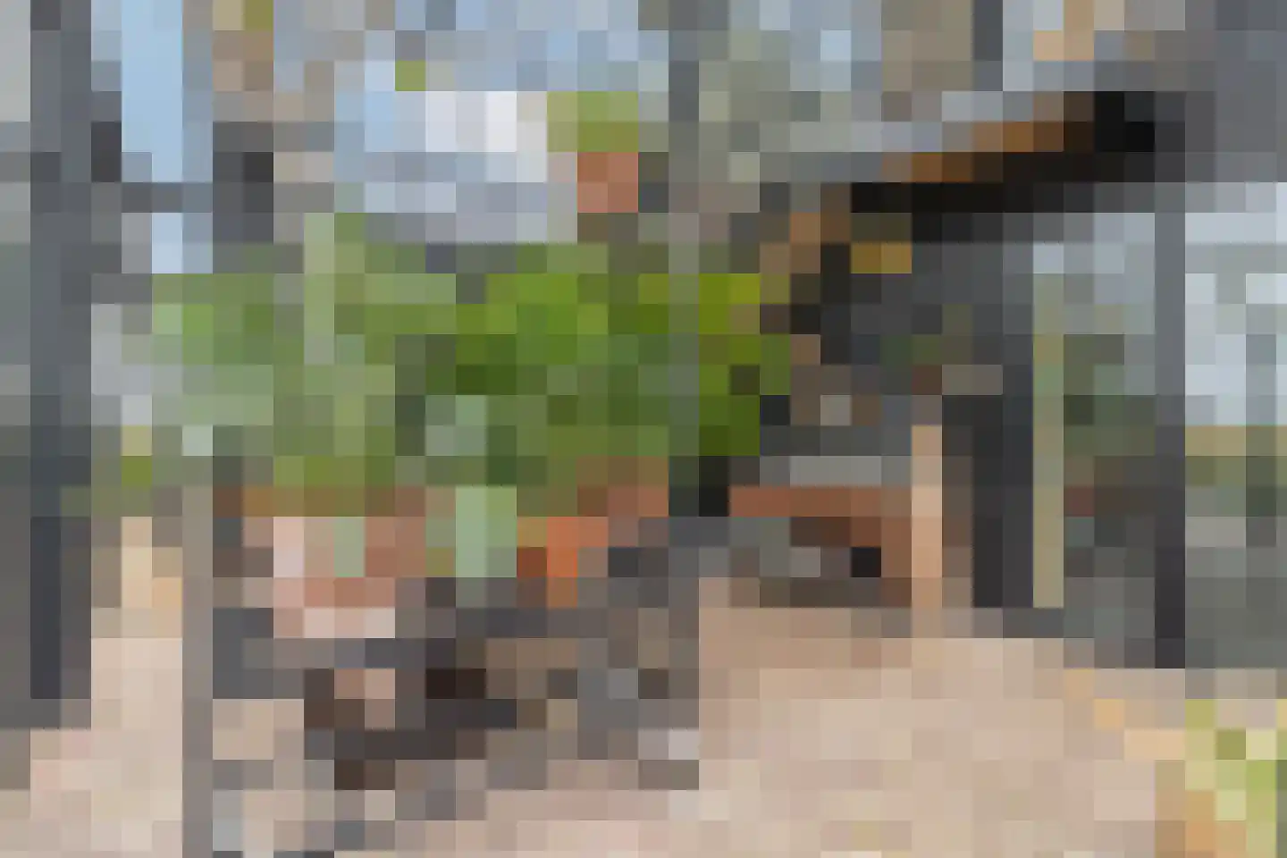 Oostmijzerdijk 13 A Schermerhorn thumbnail 25