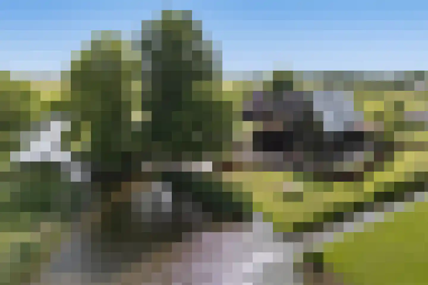 Oostmijzerdijk 13 A Schermerhorn thumbnail 4