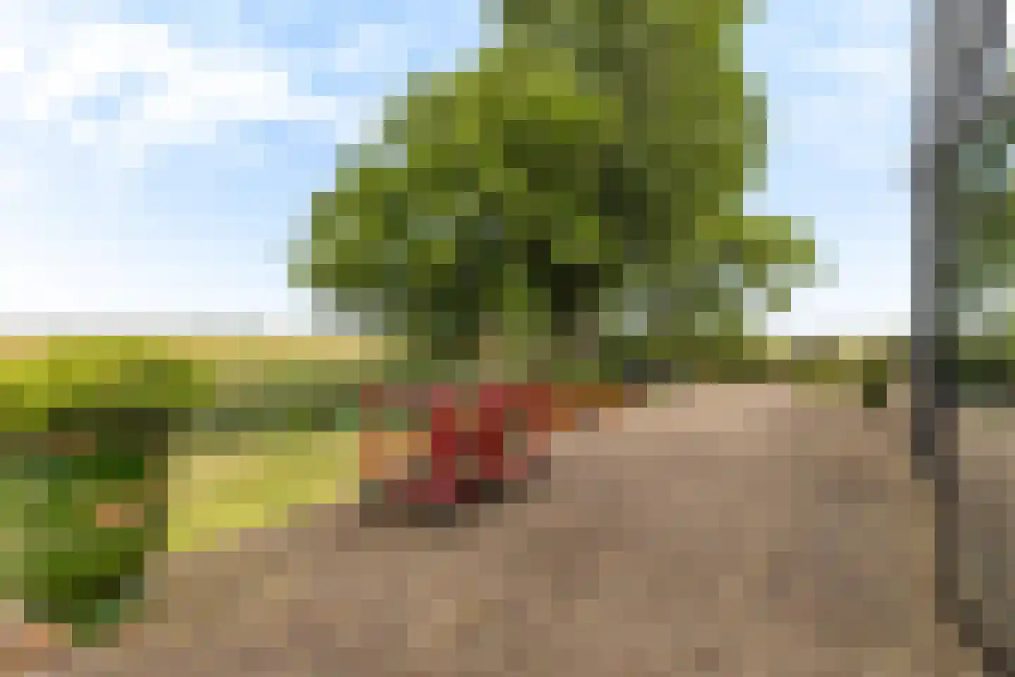 Oostmijzerdijk 13 A Schermerhorn thumbnail 46