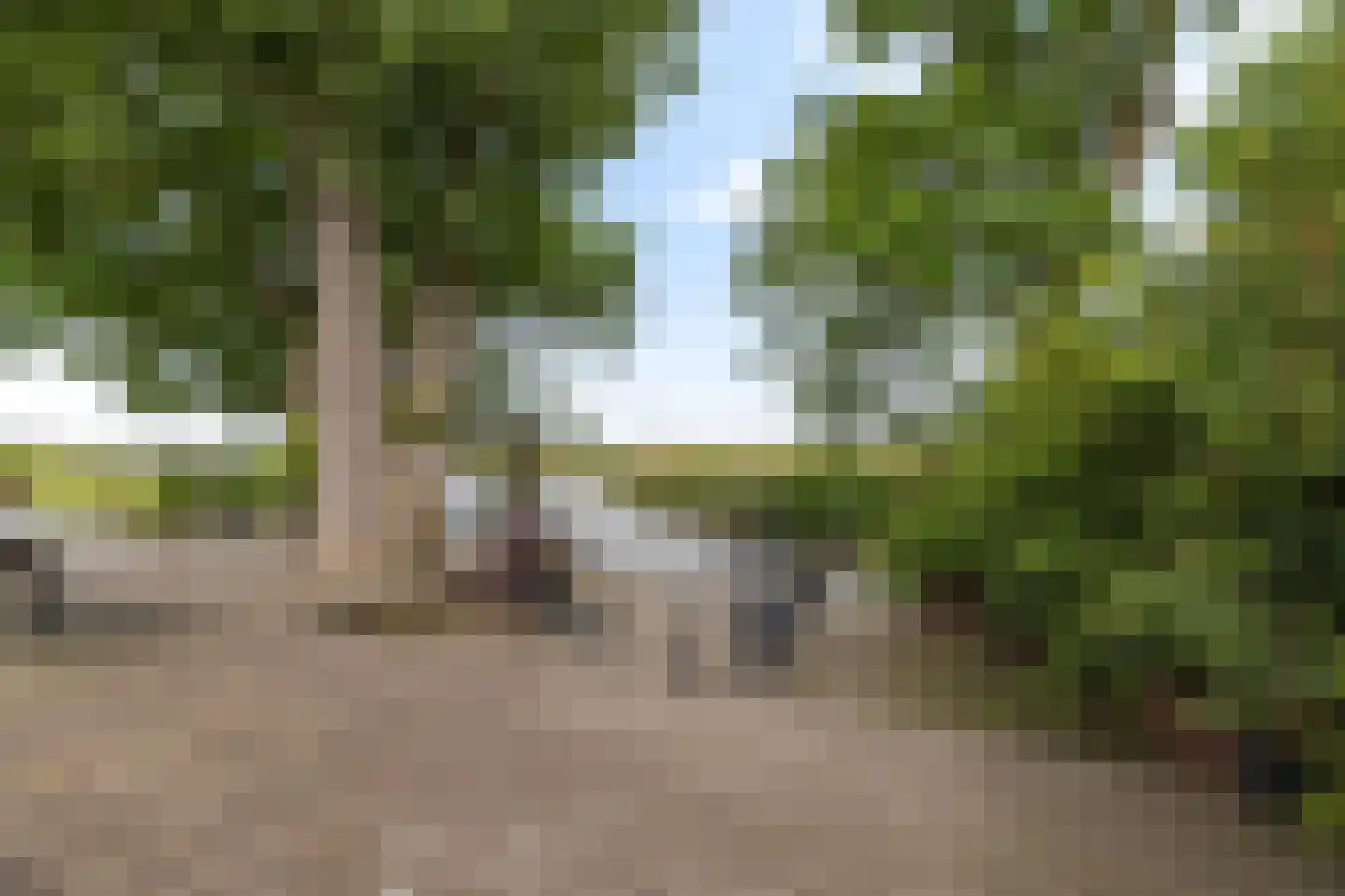 Oostmijzerdijk 13 A Schermerhorn thumbnail 49