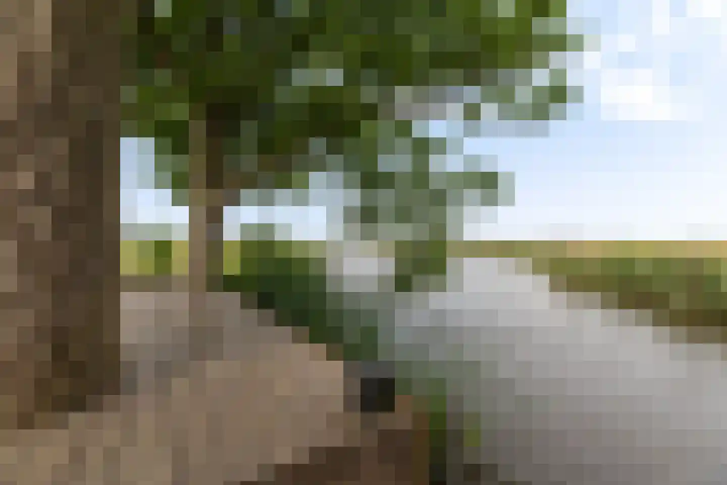 Oostmijzerdijk 13 A Schermerhorn thumbnail 52