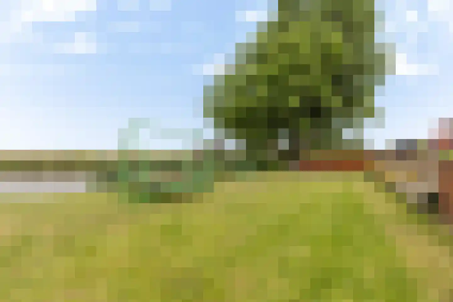 Oostmijzerdijk 13 A Schermerhorn thumbnail 61