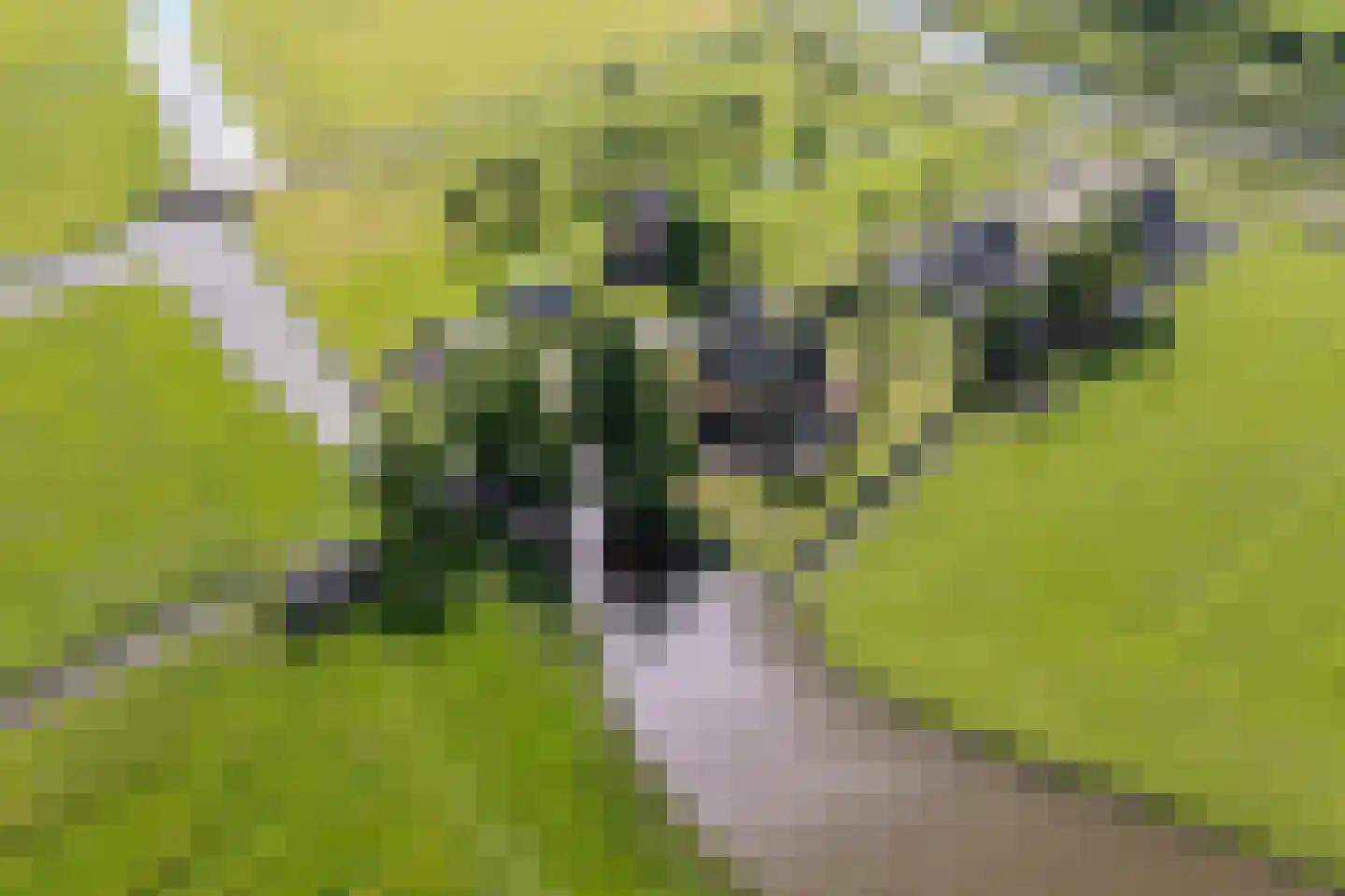Oostmijzerdijk 13 A Schermerhorn thumbnail 64