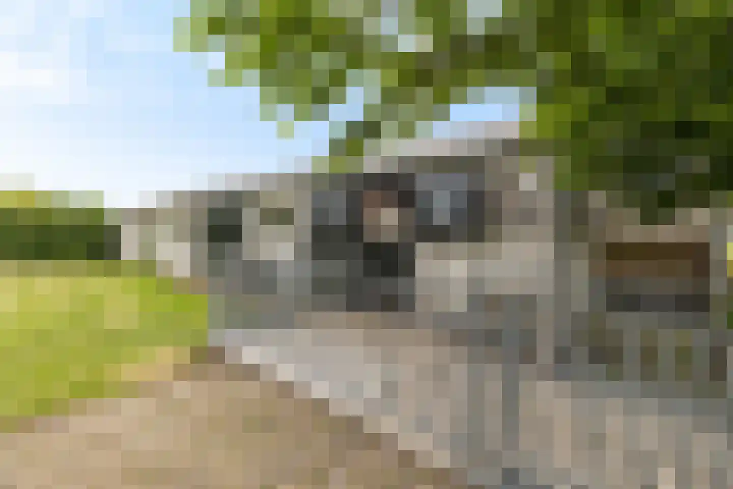 Oostmijzerdijk 13 A Schermerhorn thumbnail 68