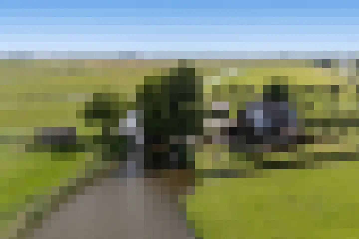 Oostmijzerdijk 13 A Schermerhorn thumbnail 8