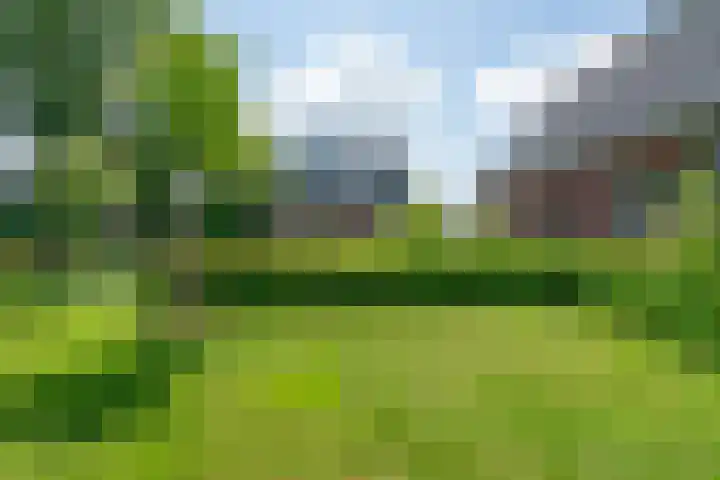 Oostmijzerdijk 7 Schermerhorn thumbnail 100