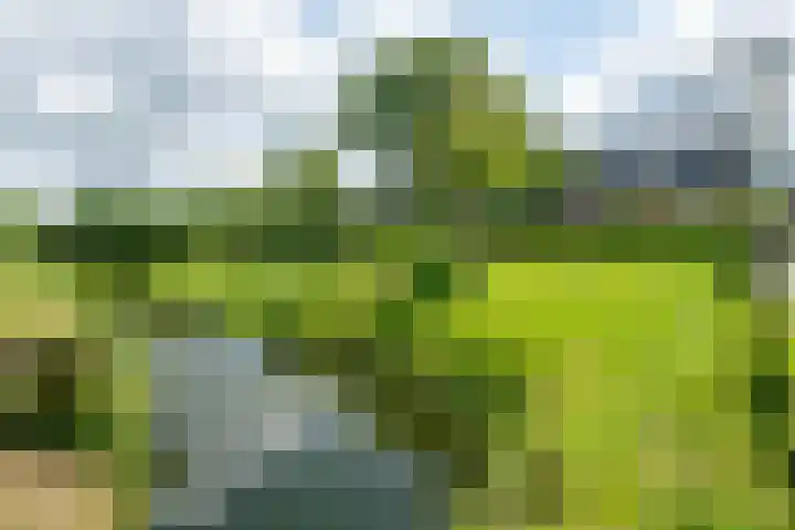 Oostmijzerdijk 7 Schermerhorn thumbnail 101