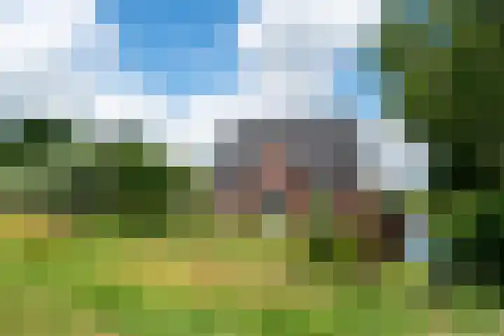 Oostmijzerdijk 7 Schermerhorn thumbnail 104