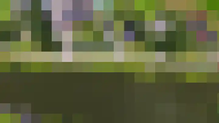 Oostmijzerdijk 7 Schermerhorn thumbnail 108