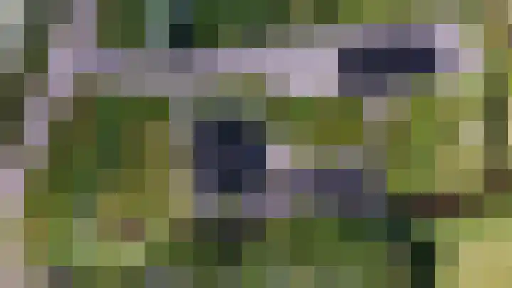 Oostmijzerdijk 7 Schermerhorn thumbnail 109