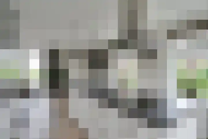 Oostmijzerdijk 7 Schermerhorn thumbnail 11