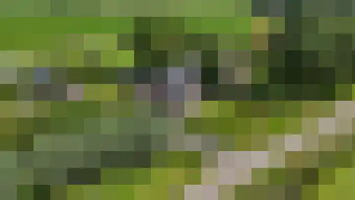 Oostmijzerdijk 7 Schermerhorn thumbnail 110