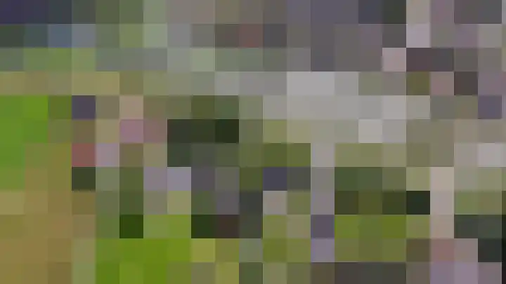 Oostmijzerdijk 7 Schermerhorn thumbnail 111