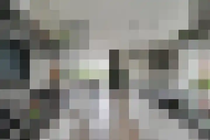 Oostmijzerdijk 7 Schermerhorn thumbnail 12