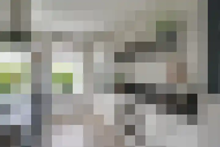 Oostmijzerdijk 7 Schermerhorn thumbnail 13