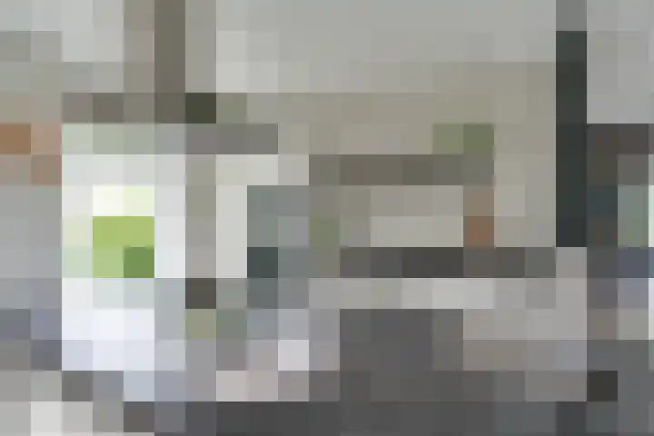 Oostmijzerdijk 7 Schermerhorn thumbnail 14