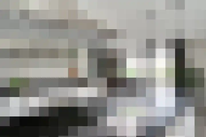 Oostmijzerdijk 7 Schermerhorn thumbnail 15